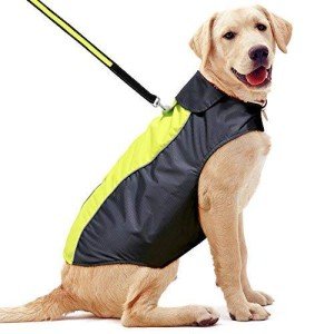 Lightweight Waterproof Dog Coat - Adjustable Rain Jacket
