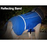 Waterproof Cold Weather Dog Jacket - Red, Large