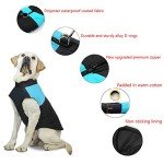 Warm Waterproof Dog Coat for Winter Adventures