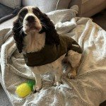 Country Style Green Quilted Dog Coat Jacket