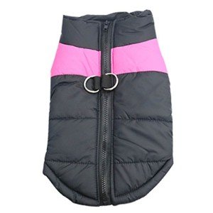 Warm Waterproof Winter Dog Coat for All Sizes