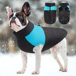 Warm Waterproof Dog Coat for Winter Adventures