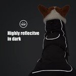 Waterproof Reflective Dog Jacket with Fleece Lining