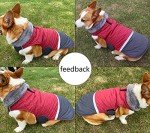 Reversible Waterproof Winter Dog Coat with Harness Hole