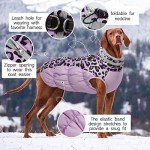 Kuoser Reflective Winter Dog Jacket, XL Purple