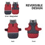 Reversible Waterproof Winter Dog Coat with Harness Hole