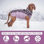 Kuoser Reflective Winter Dog Jacket, XL Purple