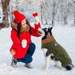 IREENUO Adjustable Waterproof Coat for Large Dogs
