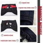 Waterproof Winter Dog Jacket with Harness Hole