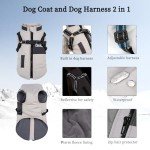 Lairle Winter Dog Coat with Reflective Harness