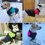 Warm Waterproof Dog Coat for Winter Adventures