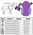 Cozy Purple Winter Coat for Dogs - Small