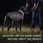 Kuoser Reflective Winter Dog Jacket, XL Purple