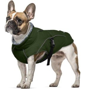 Small Waterproof Dog Jacket - Warm & Cozy
