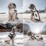 Lairle Winter Dog Coat with Reflective Harness