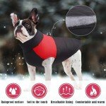 Waterproof Winter Dog Jacket with Harness Hole