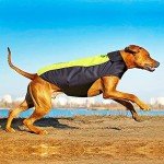 Lightweight Waterproof Dog Coat - Adjustable Rain Jacket