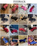 Cozy Red Dachshund Winter Coat with Fleece Lining