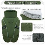 Small Waterproof Dog Jacket - Warm & Cozy