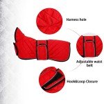 Cozy Red Dachshund Winter Coat with Fleece Lining