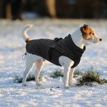 Winter Dog Coats with Flannel Lining - Black