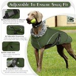 Small Waterproof Dog Jacket - Warm & Cozy