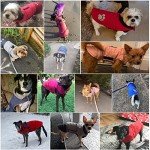 Waterproof Dog Coat with Harness Hole - Pink