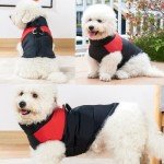 Waterproof Winter Dog Jacket with Harness Hole