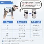 Lairle Winter Dog Coat with Reflective Harness