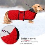 Cozy Red Dachshund Winter Coat with Fleece Lining