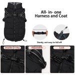 Winter Dog Coats with Flannel Lining - Black