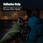 Small Waterproof Dog Jacket - Warm & Cozy