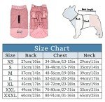 Waterproof Dog Coat with Harness Hole - Pink