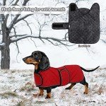 Cozy Red Dachshund Winter Coat with Fleece Lining