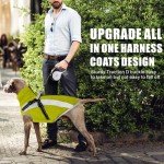 Waterproof Dog Coat with Harness for Winter