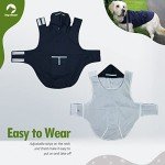 Waterproof Dog Raincoat with Hood and Reflective Strips