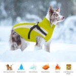 Waterproof Dog Coat with Harness for Winter