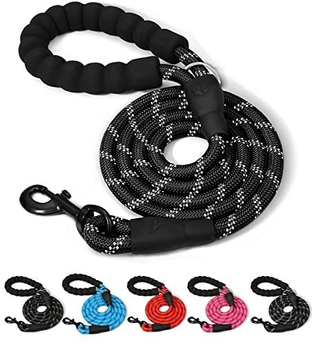 Dog Leads