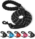 Reflective 5 FT Dog Leash with Comfort Handle