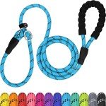 Reflective Slip Lead with Padded Handle for Dogs