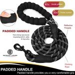 Reflective 5 FT Dog Leash with Comfort Handle