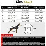 Pink Padded Winter Coat for Small Dogs