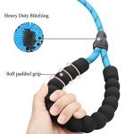 Reflective Slip Lead with Padded Handle for Dogs