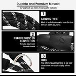 Reflective 5 FT Dog Leash with Comfort Handle