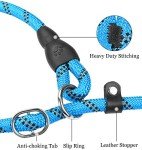 Reflective Slip Lead with Padded Handle for Dogs