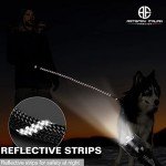 Reflective 5 FT Dog Leash with Comfort Handle