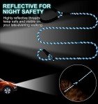 Reflective Slip Lead with Padded Handle for Dogs