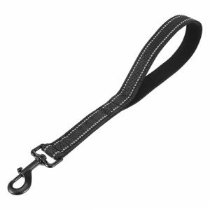 Heavy Duty Reflective Dog Leash with Padded Handle