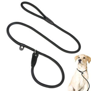 WOLMIK Adjustable Slip Lead for Small Dogs