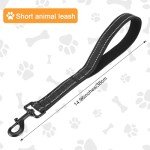 Heavy Duty Reflective Dog Leash with Padded Handle